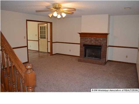 4041 Crystal Ct, Nesbit, MS 38651 photo 2
