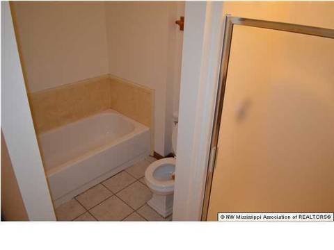 4041 Crystal Ct, Nesbit, MS 38651 photo 14