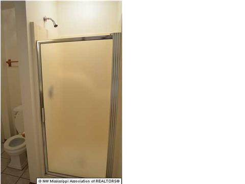 4041 Crystal Ct, Nesbit, MS 38651 photo 13