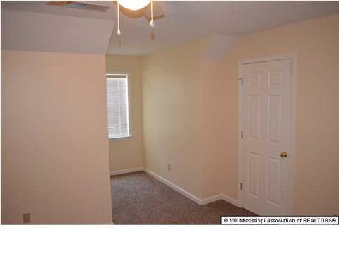 4041 Crystal Ct, Nesbit, MS 38651 photo 18