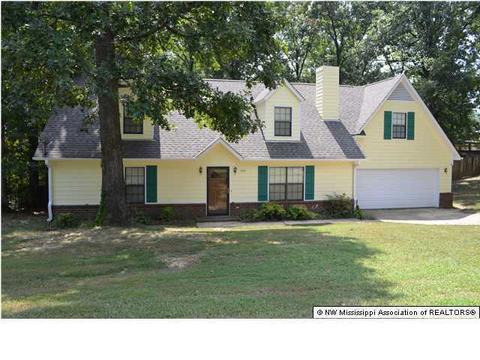 4041 Crystal Ct, Nesbit, MS 38651 photo 1