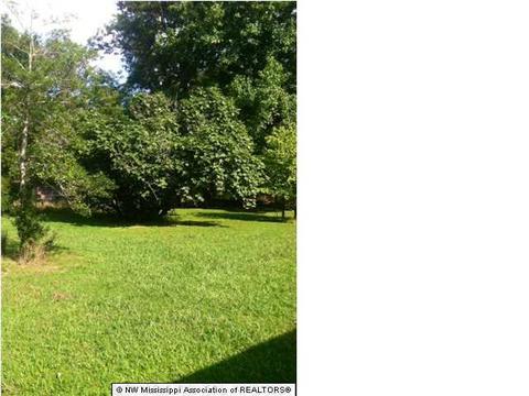 600 Sycamore St, Como, MS 38619 photo 4