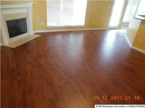 10461 Harmony Cv, Walls, MS 38680 photo 3
