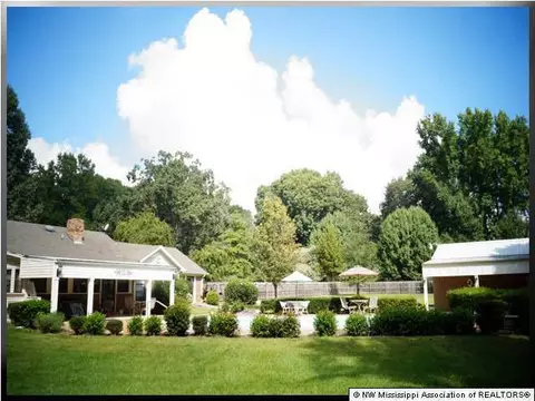 3160 Shady Hill Dr, Hernando, MS 38632 photo 17