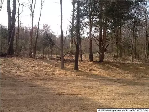 1747 Scout Cv, Nesbit, MS 38651 photo 7