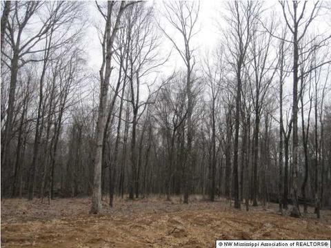 112 N Cherrydale Loop, Coldwater, MS 38618 photo 4