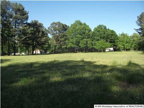 1150 Malone, Nesbit, MS 38651 photo 1