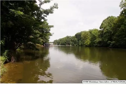 3583 Ben Ledis Ridge Cv, Hernando, MS 38632 photo 5