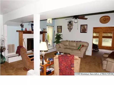 3583 Ben Ledis Ridge Cv, Hernando, MS 38632 photo 11