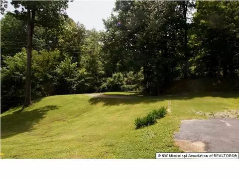 3583 Ben Ledis Ridge Cv, Hernando, MS 38632 photo 2