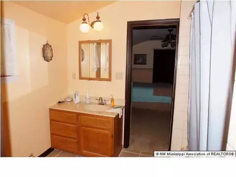 3583 Ben Ledis Ridge Cv, Hernando, MS 38632 photo 18