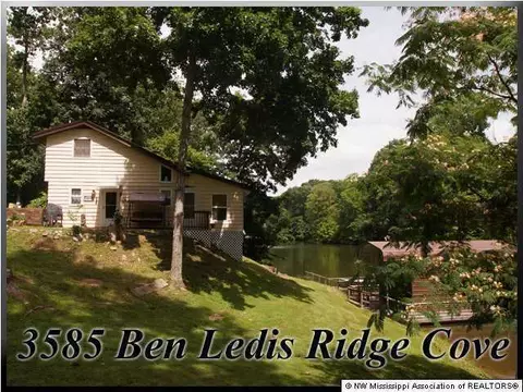 3583 Ben Ledis Ridge Cv, Hernando, MS 38632 photo 1