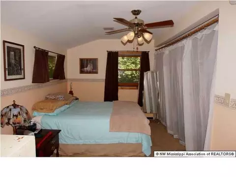 3583 Ben Ledis Ridge Cv, Hernando, MS 38632 photo 19