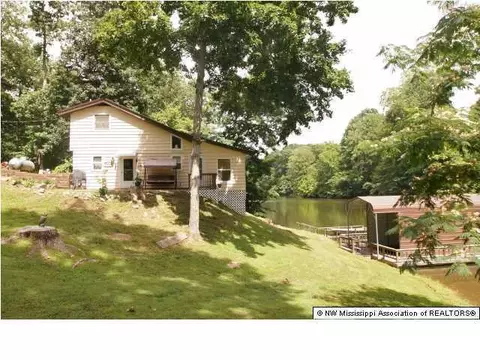 3583 Ben Ledis Ridge Cv, Hernando, MS 38632 photo 9