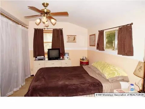3583 Ben Ledis Ridge Cv, Hernando, MS 38632 photo 17