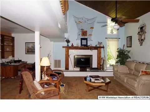 3583 Ben Ledis Ridge Cv, Hernando, MS 38632 photo 12