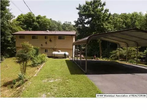 3583 Ben Ledis Ridge Cv, Hernando, MS 38632 photo 3