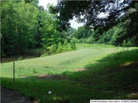 6567 E Tate Rd, Coldwater, MS 38618 photo 7