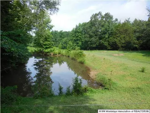 6567 E Tate Rd, Coldwater, MS 38618 photo 4