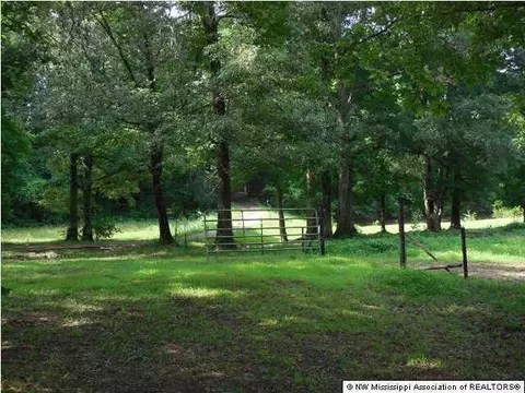 6567 E Tate Rd, Coldwater, MS 38618 photo 5