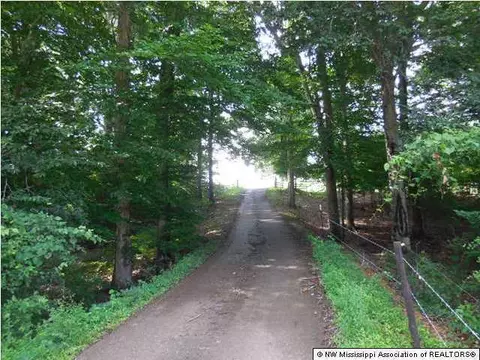 6567 E Tate Rd, Coldwater, MS 38618 photo 3