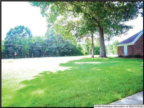 4010 Bienville, Nesbit, MS 38651 photo 2