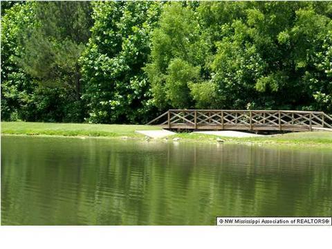 3930 Saddle Bend Dr, Olive Branch, MS 38654 photo 30