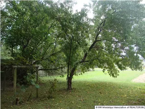 701 Powell St, Coldwater, MS 38618 photo 6