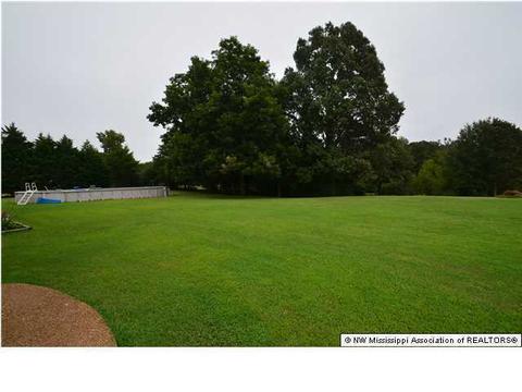 2485 Trent Dr, Hernando, MS 38632 photo 29
