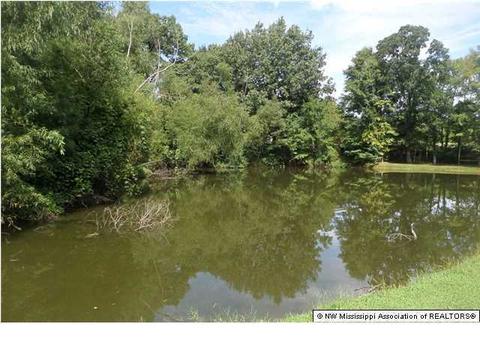 2485 Trent Dr, Hernando, MS 38632 photo 30