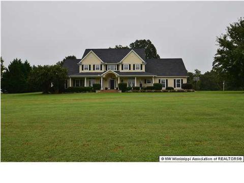 2485 Trent Dr, Hernando, MS 38632 photo 2