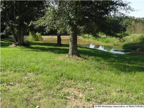 3556 Pleasant Hill Rd, Nesbit, MS 38651 photo 4