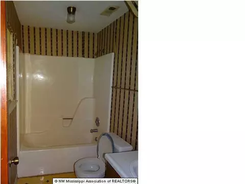 3556 Pleasant Hill Rd, Nesbit, MS 38651 photo 11