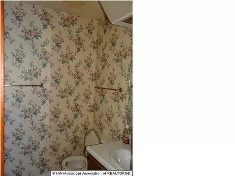 3556 Pleasant Hill Rd, Nesbit, MS 38651 photo 9