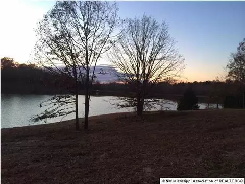 706 Highway Hwy #310, Como, MS 38619 photo 4