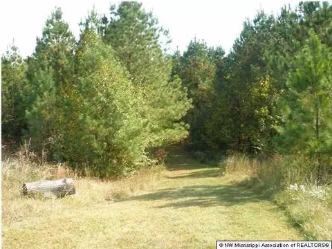 706 Highway Hwy #310, Como, MS 38619 photo 11