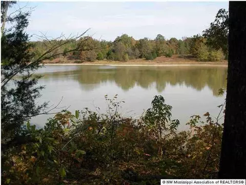 706 Highway Hwy #310, Como, MS 38619 photo 13