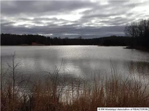 706 Highway Hwy #310, Como, MS 38619 photo 5