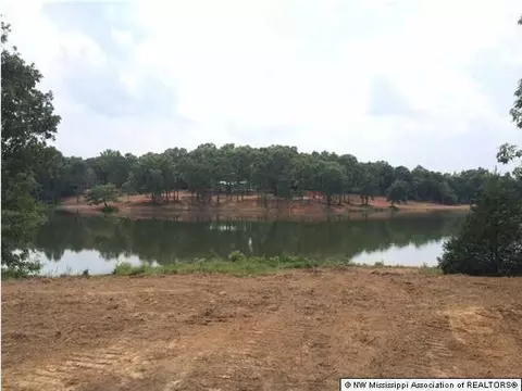 706 Highway Hwy #310, Como, MS 38619 photo 14