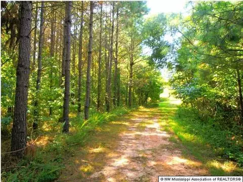 706 Highway Hwy #310, Como, MS 38619 photo 10