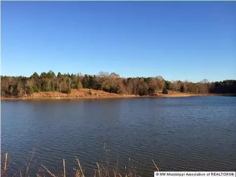 706 Highway Hwy #310, Como, MS 38619 photo 2