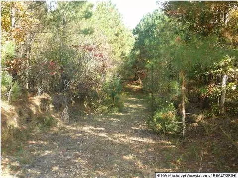 706 Highway Hwy #310, Como, MS 38619 photo 12