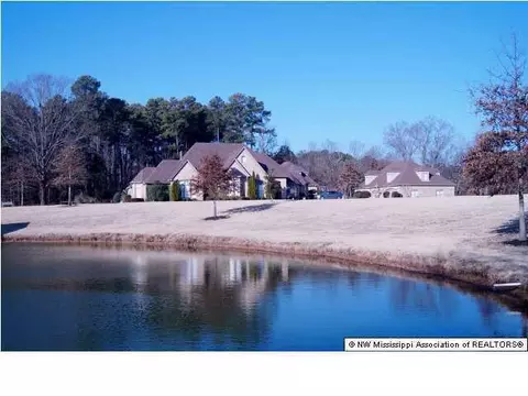 1995 Nesbit Rd, Nesbit, MS 38651 photo 26