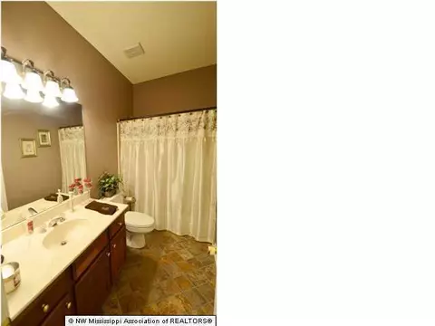 4840 Victoria, Nesbit, MS 38651 photo 20