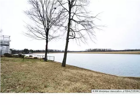 4840 Victoria, Nesbit, MS 38651 photo 30
