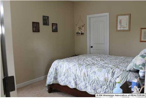 235 Doe Creek Trl, Hernando, MS 38632 photo 9