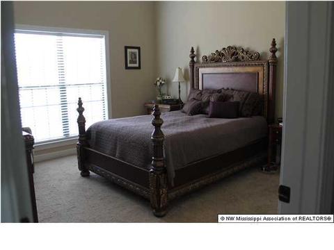 235 Doe Creek Trl, Hernando, MS 38632 photo 15