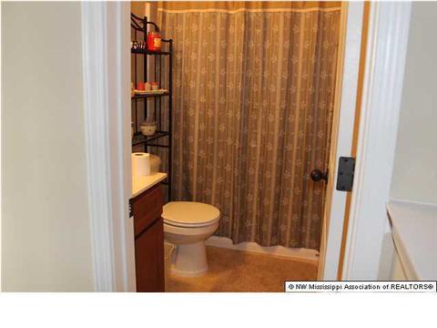 235 Doe Creek Trl, Hernando, MS 38632 photo 14