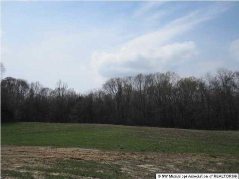 164 Luke Ln, Coldwater, MS 38618 photo 6