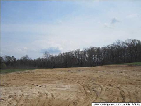 164 Luke Ln, Coldwater, MS 38618 photo 8